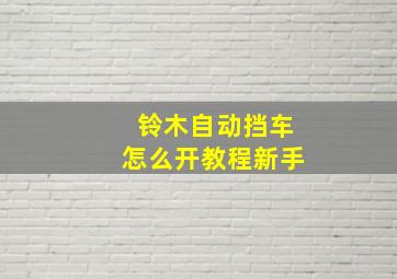 铃木自动挡车怎么开教程新手