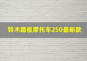 铃木踏板摩托车250最新款