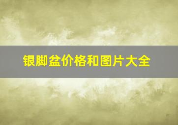 银脚盆价格和图片大全