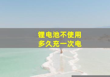 锂电池不使用多久充一次电