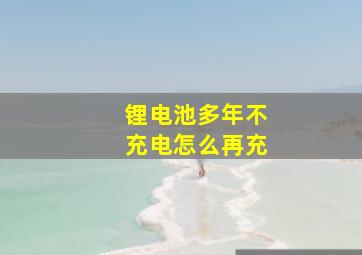 锂电池多年不充电怎么再充