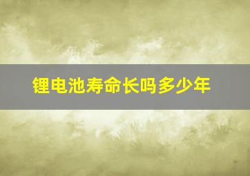 锂电池寿命长吗多少年