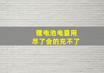 锂电池电量用尽了会的充不了