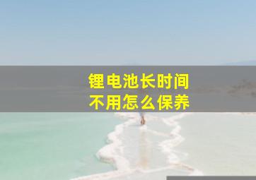 锂电池长时间不用怎么保养