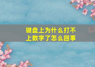 键盘上为什么打不上数字了怎么回事