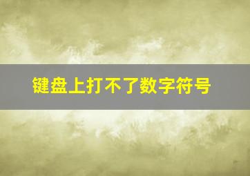 键盘上打不了数字符号