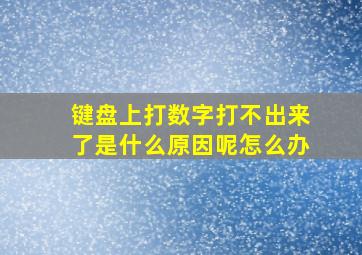 键盘上打数字打不出来了是什么原因呢怎么办