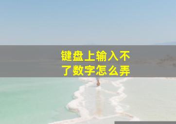 键盘上输入不了数字怎么弄