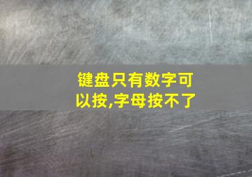 键盘只有数字可以按,字母按不了