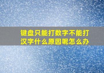 键盘只能打数字不能打汉字什么原因呢怎么办