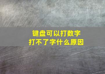 键盘可以打数字打不了字什么原因