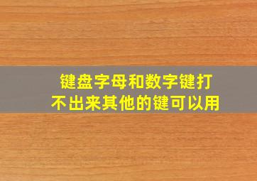 键盘字母和数字键打不出来其他的键可以用