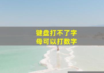 键盘打不了字母可以打数字