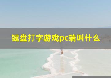 键盘打字游戏pc端叫什么