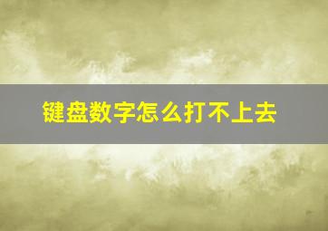 键盘数字怎么打不上去