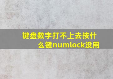 键盘数字打不上去按什么键numlock没用