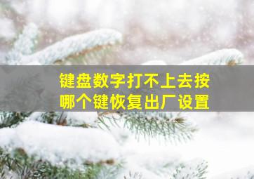 键盘数字打不上去按哪个键恢复出厂设置