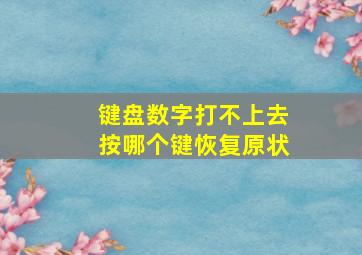 键盘数字打不上去按哪个键恢复原状