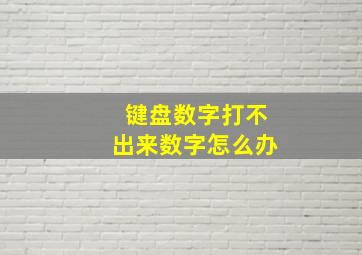 键盘数字打不出来数字怎么办