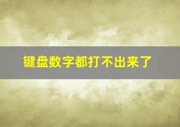 键盘数字都打不出来了