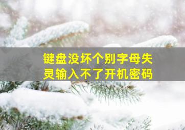 键盘没坏个别字母失灵输入不了开机密码