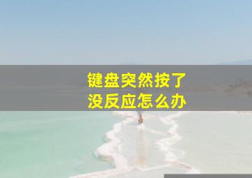 键盘突然按了没反应怎么办