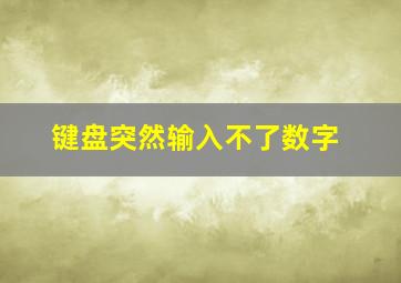 键盘突然输入不了数字