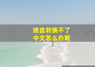 键盘转换不了中文怎么办呢