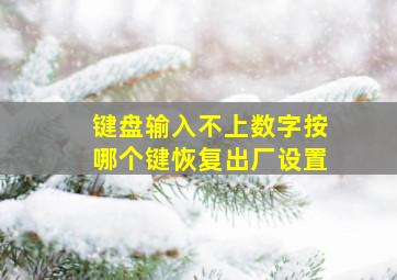 键盘输入不上数字按哪个键恢复出厂设置