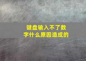 键盘输入不了数字什么原因造成的