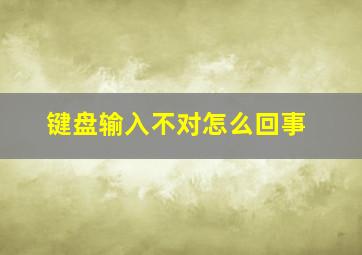 键盘输入不对怎么回事