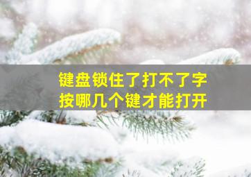 键盘锁住了打不了字按哪几个键才能打开