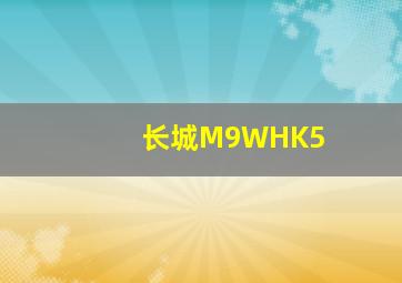 长城M9WHK5