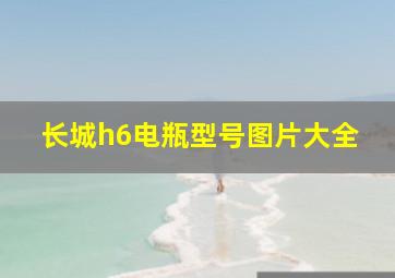 长城h6电瓶型号图片大全