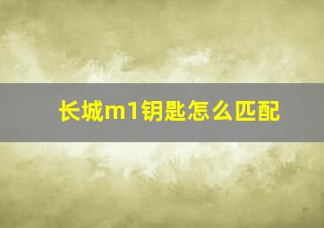 长城m1钥匙怎么匹配