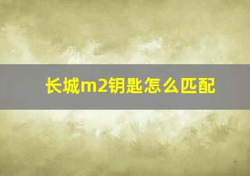 长城m2钥匙怎么匹配