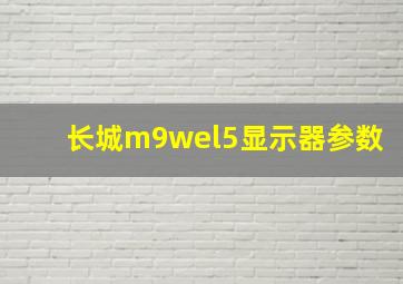 长城m9wel5显示器参数