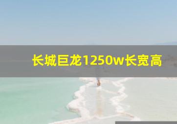 长城巨龙1250w长宽高