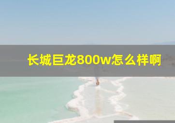 长城巨龙800w怎么样啊