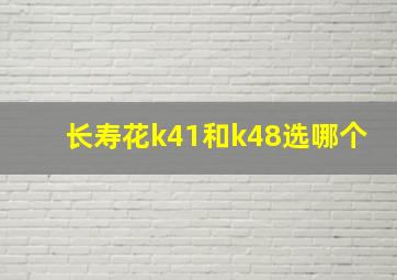 长寿花k41和k48选哪个