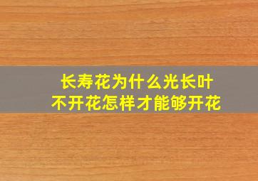 长寿花为什么光长叶不开花怎样才能够开花