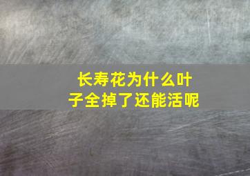 长寿花为什么叶子全掉了还能活呢