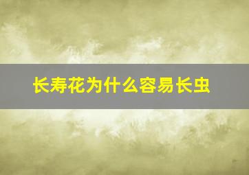 长寿花为什么容易长虫