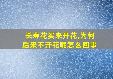 长寿花买来开花,为何后来不开花呢怎么回事