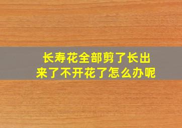 长寿花全部剪了长出来了不开花了怎么办呢