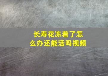 长寿花冻着了怎么办还能活吗视频