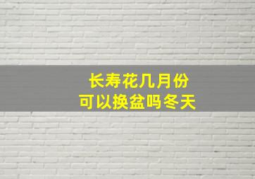 长寿花几月份可以换盆吗冬天