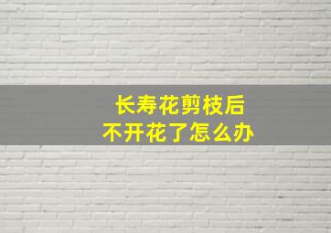 长寿花剪枝后不开花了怎么办