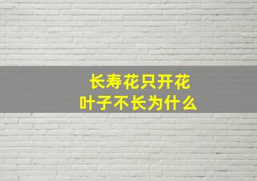 长寿花只开花叶子不长为什么