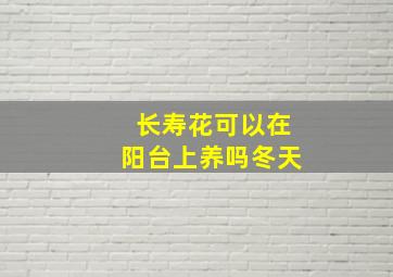 长寿花可以在阳台上养吗冬天